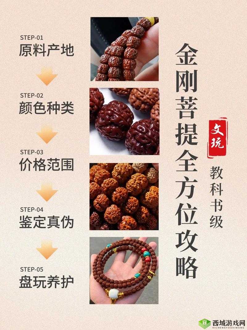 龙甲情缘新手攻略 新手开局思路全方位详细解读