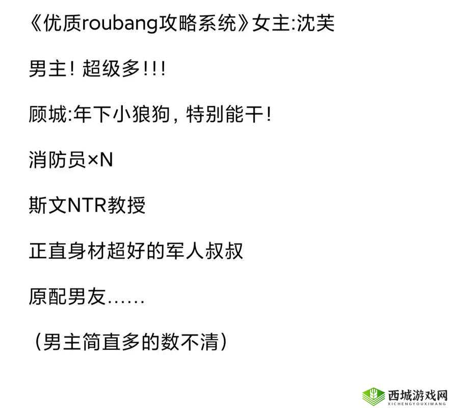 优质rb 攻略系统：全新解读与指南