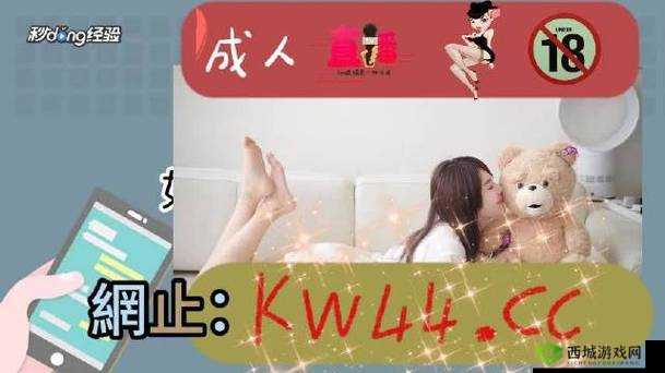 亚洲无人区一码二码三码区别之探讨