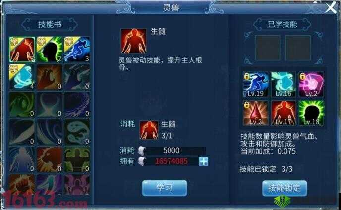倩女幽魂手游灵兽技能解析：朱雀火之威能揭秘，灵兽技能图鉴大全展