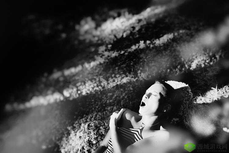 在公交车上弄到高 C 月：私密时刻被曝光