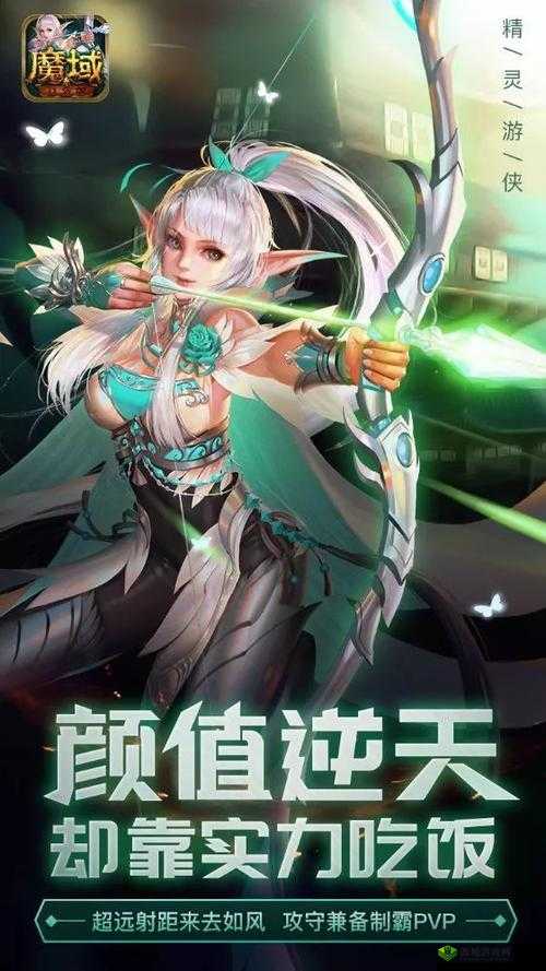 硬霸魔域口袋版：资深玩家引领新职业的热血征途