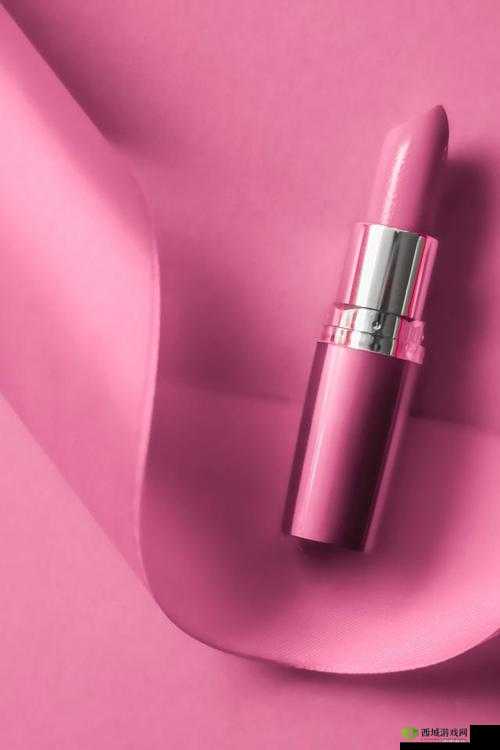 YSL 千人千色 YSL 水蜜桃 JK 时尚魅力展现