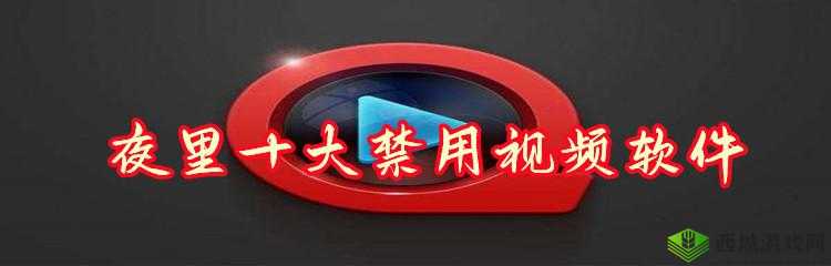 夜里 100 种禁用视频软件大全汇总