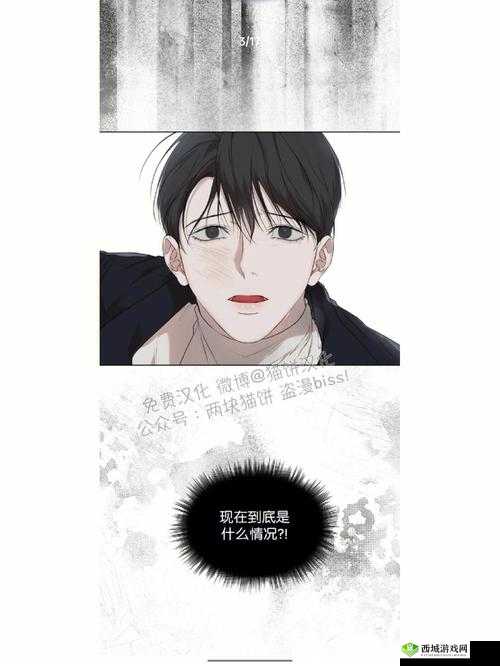 啊哈有人来了啊哈风调禹顺：背后的故事