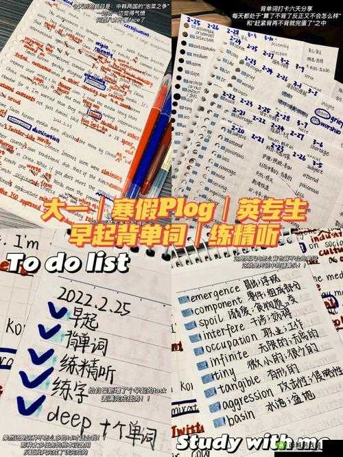 坐在学霸的鸡上背单词作者的学习趣事