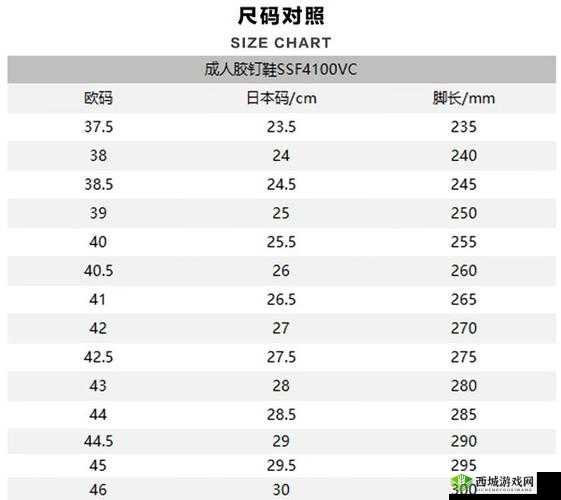 欧洲尺码日本尺码专线：优质服务之选