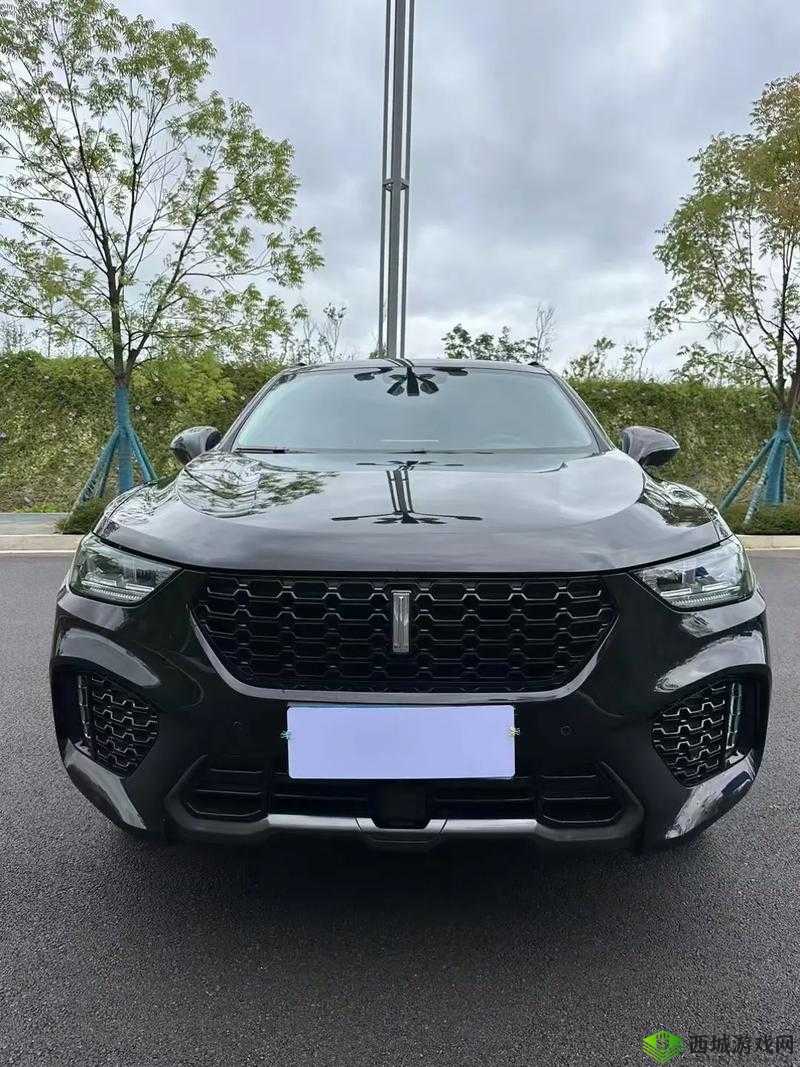 Wey VV5 国产 SUV：智能豪华，畅享驾驭乐趣