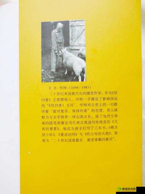 拔萝卜生猴子不盖被子：探索未知的世界