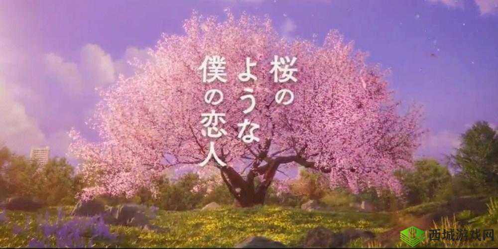 樱花电影大全免费观看：海量影片任你看