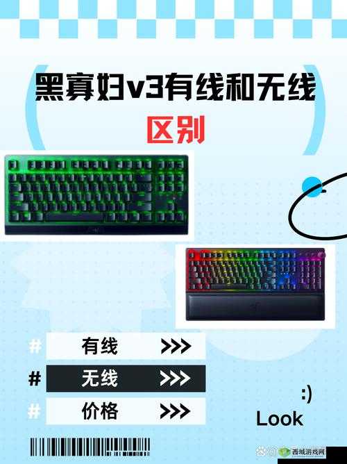 黑寡妇 V3 有线和无线区别之对比