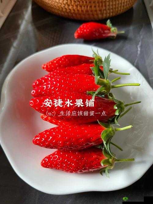 成都香蕉草莓科技有限公司：专注科技研发与创新