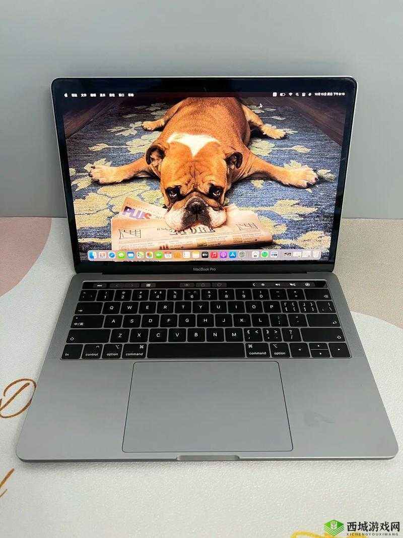 1213 岁 macbook 日本：相关介绍