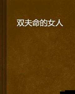 双夫1V2 推荐 ：激情碰撞的独特爱恋