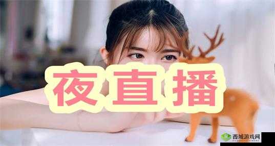 最适合夜里看的直播：精彩内容等你
