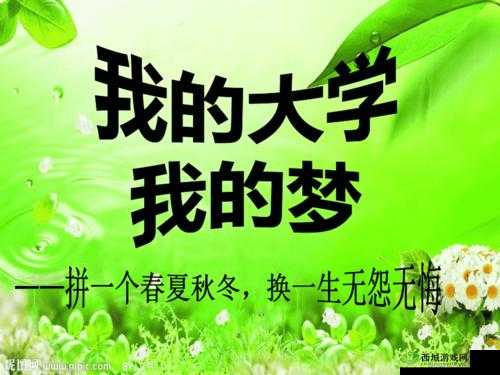 我的大学生活：青春岁月里的成长与梦想