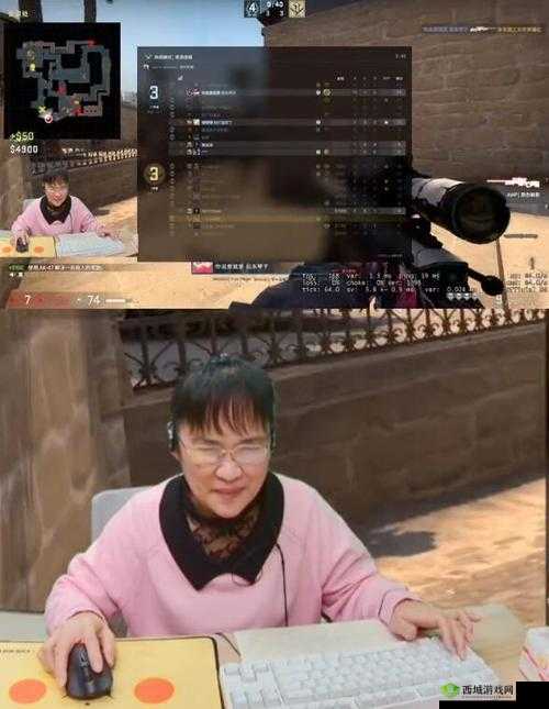 暴躁老阿姨 csgo 图片展示：岁月静好，心态爆炸