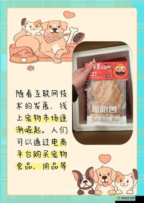 ZOOMSERVO 兽站长推：最新内容来袭