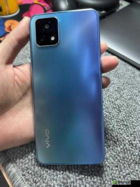 成色好的 Y31 标准：品质卓越之选