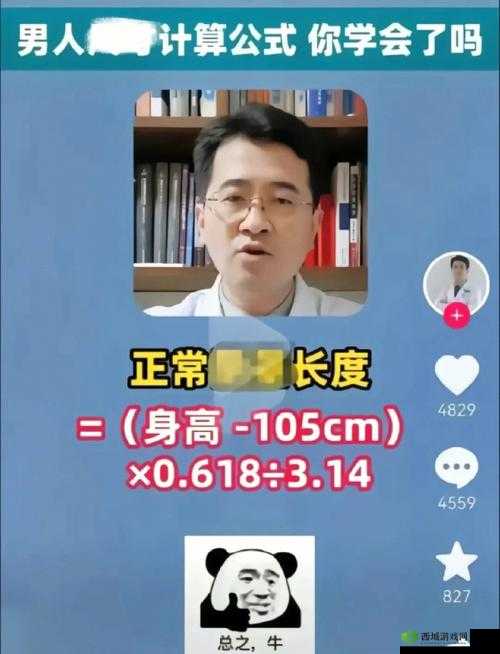 17c15.cm 换哪了：探寻其踪迹