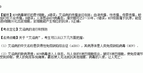 不分昼夜 H1V 相关内容探讨