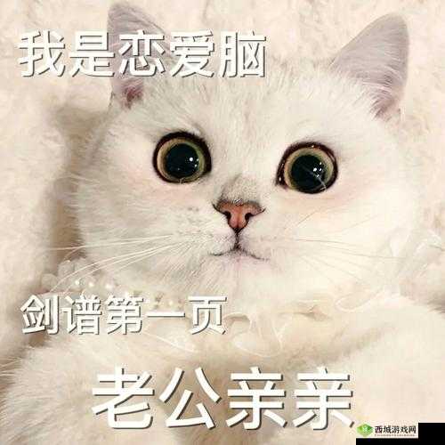 老公亲我私下，被迫取消，我这样回应