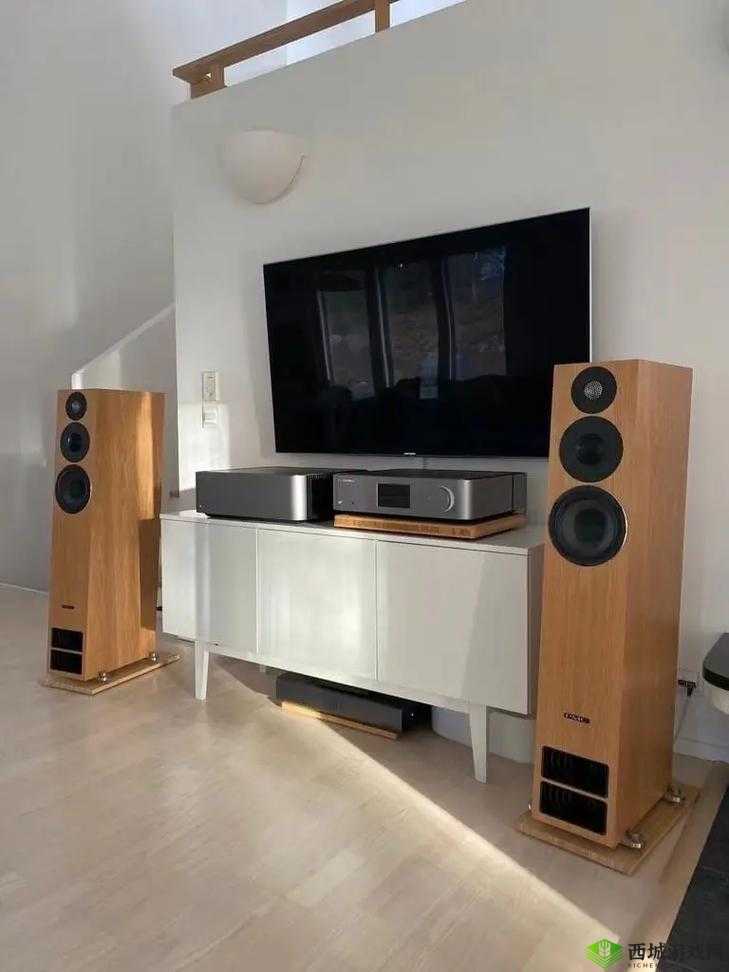 贵丰大菠萝 805D4 音响体验分享：音质出众的家庭影院之选