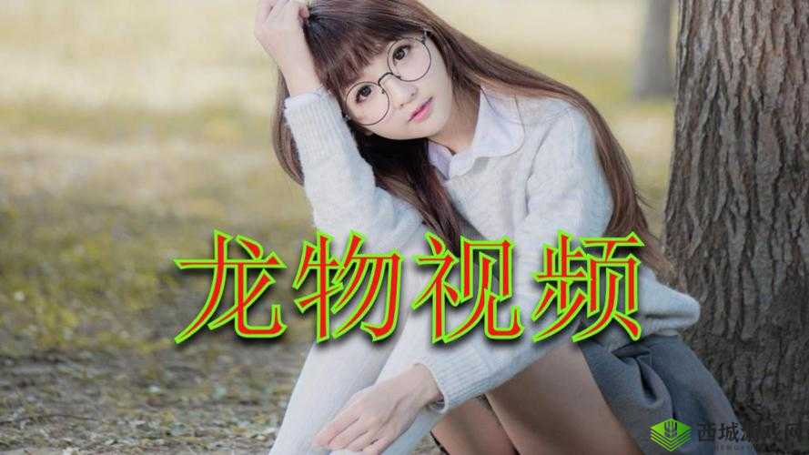 YW193 龙物：神秘而独特的存在