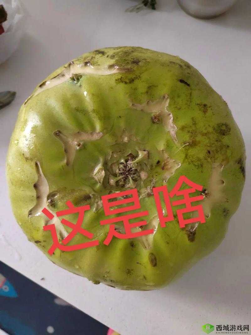 东北那旮瘩母子的那些事儿