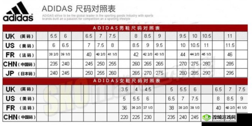 三叶草欧洲尺码和亚洲码对照表一览