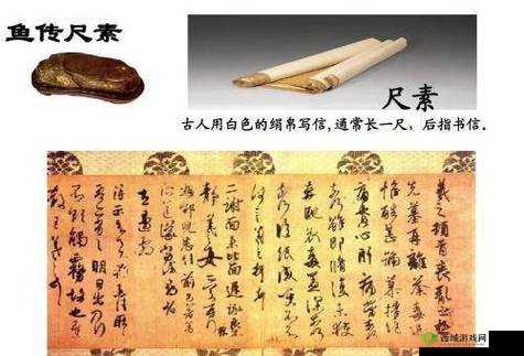 校园绑定 jy 收集系统网传操作简单：这是真的吗？