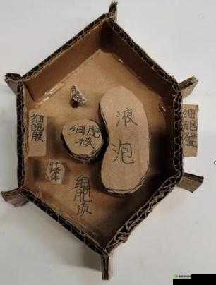 生物课老师拿自己做繁衍例子：讲述生命奥秘