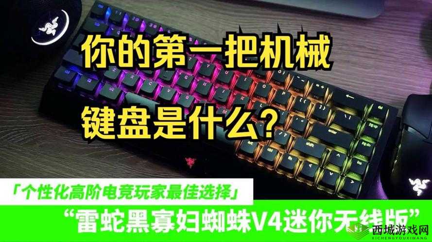 黑寡妇ESSENTIAL：卓越电竞装备新选择