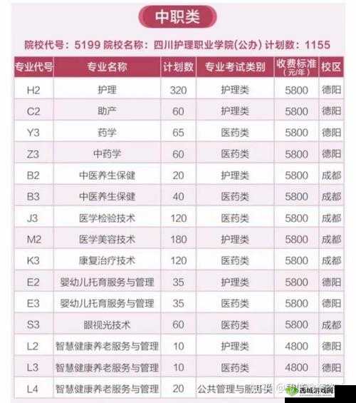2024 年四川妇女 Bbbb 职业发展：机遇与挑战并存