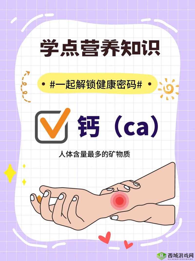 Gy 钙同 2024 钙片：助力骨骼健康的优质选择