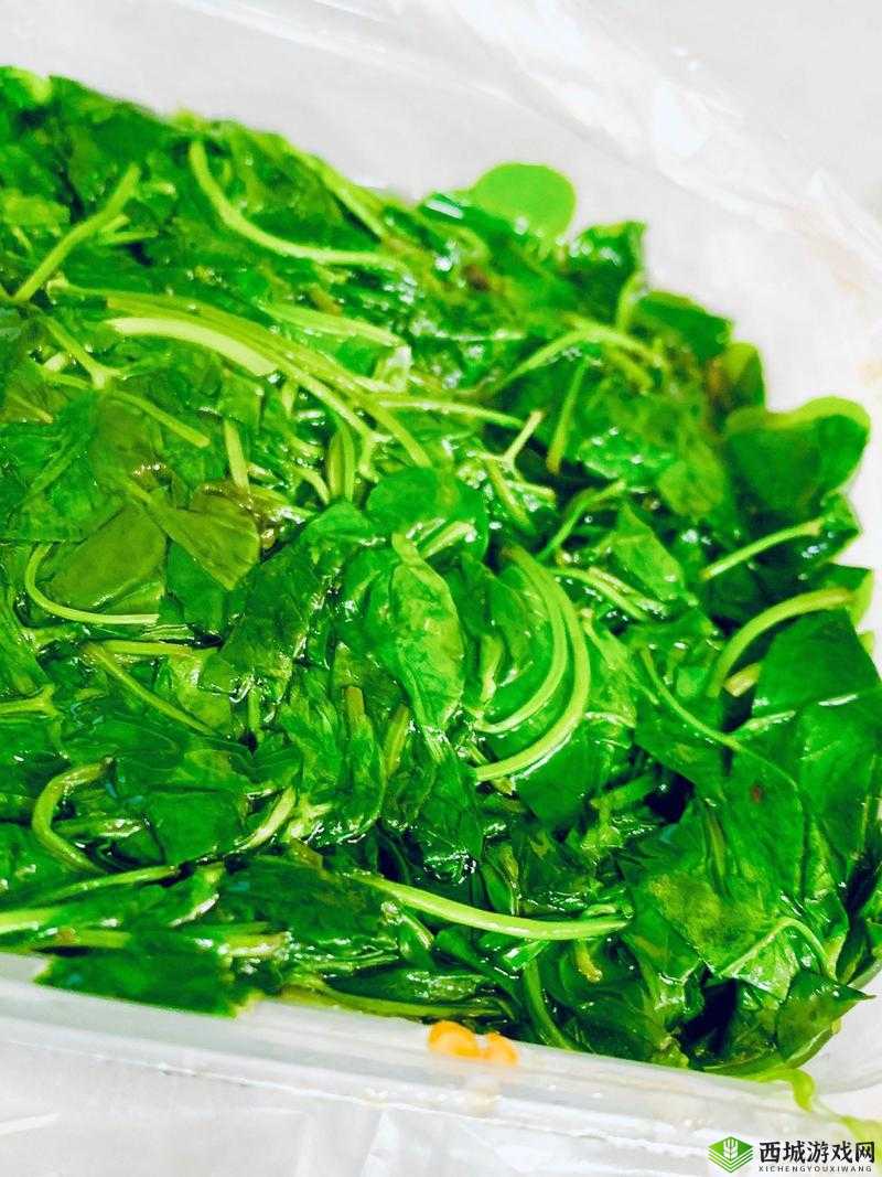 久久丫精品忘忧草产品特点：美味独特让人回味无穷