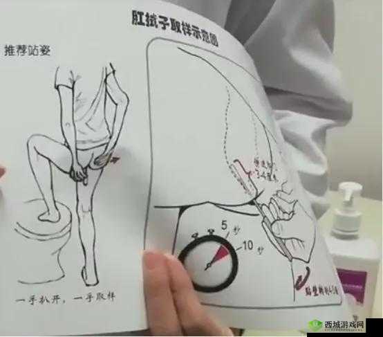 当六年级菊花遭遇棉签：探究生理卫生知识的正确途径
