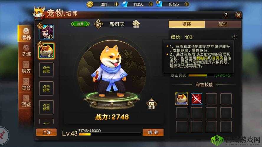 刀锋无双2全新宠物系统大揭秘，激萌爱宠大作战深度探索之旅