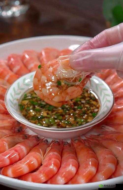 食之契约深度解析，失落菜系做法全攻略及必备材料一览表