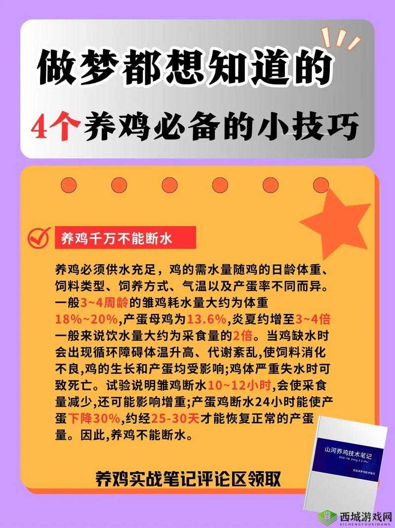悠长假期里家禽养殖怎么玩？揭秘高效养殖技巧与方法！