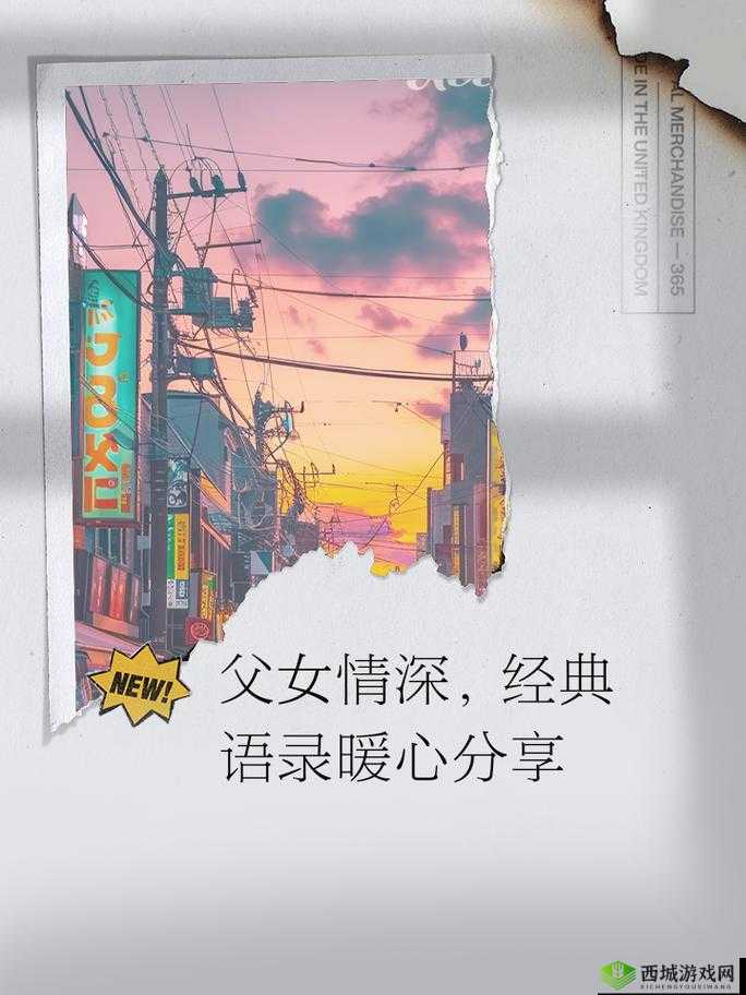 第二书包父女年代文：重温父女情深，探寻岁月记忆中的温暖与感动